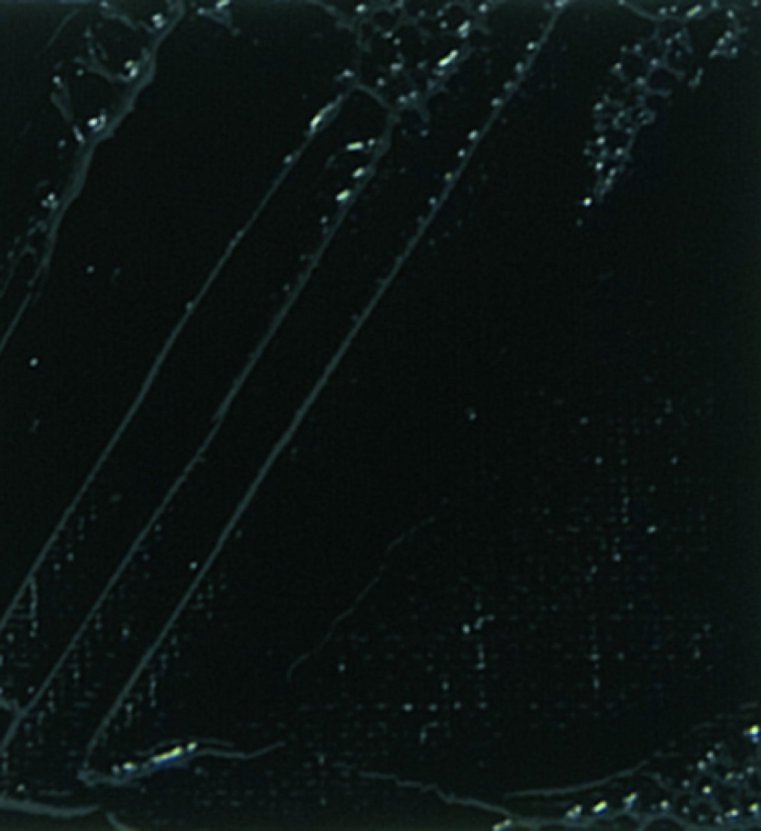 STUDIO XL FINE OIL - IMITATION IVORY BLACK(24)